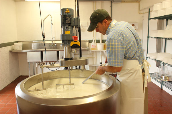 Cheese Process Image