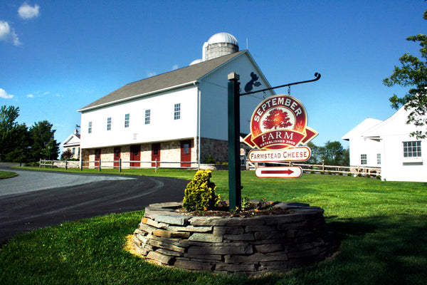 Cheese Process Image