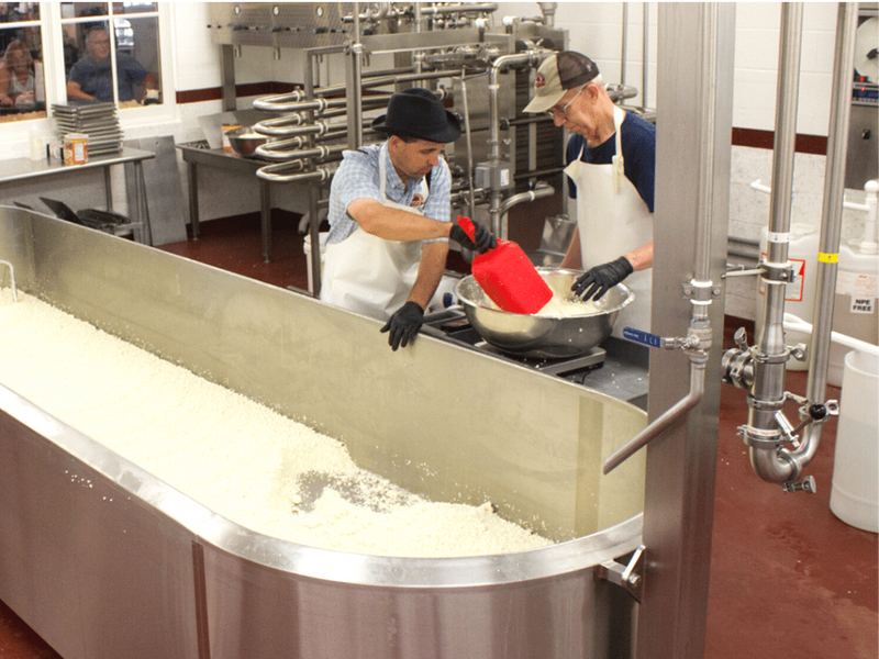 Processing the milk